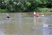IMG_2554
