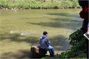 IMG_2987